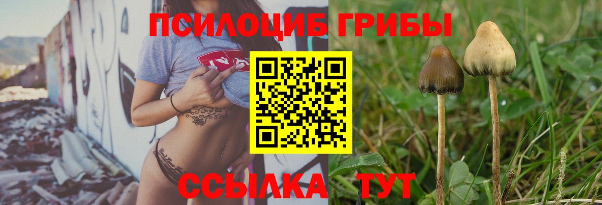 Псилоцибиновые грибы мухоморы  Вход с VPN  Белогорск  Псилоцибиновые грибы прущие грибы 